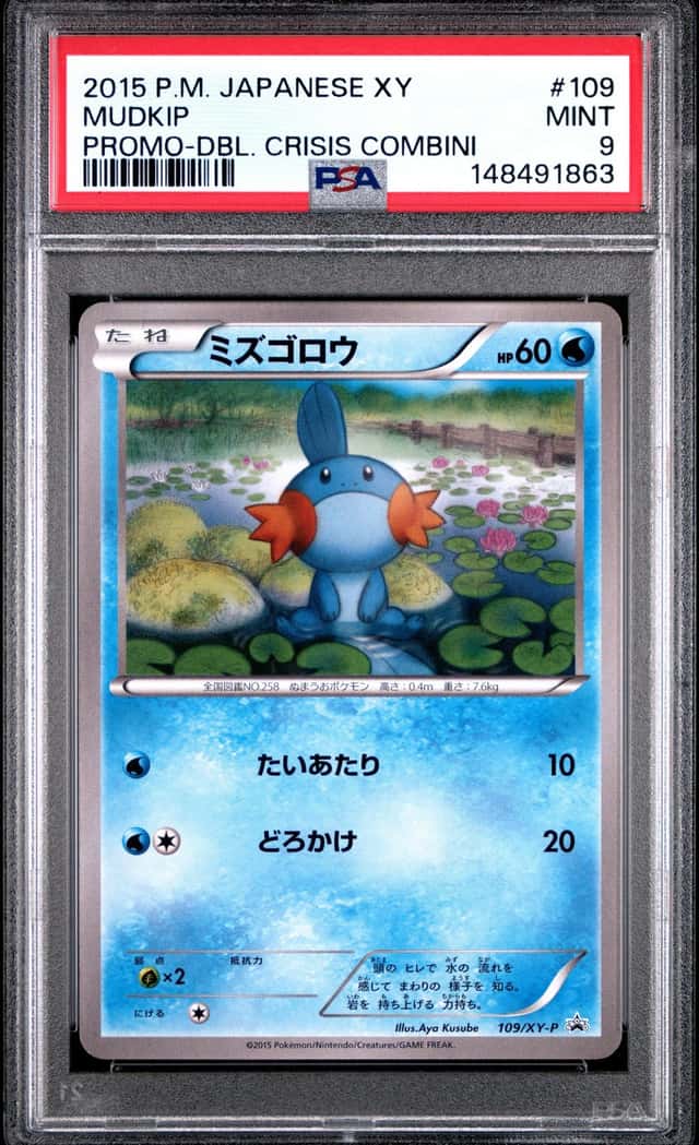 Mudkip