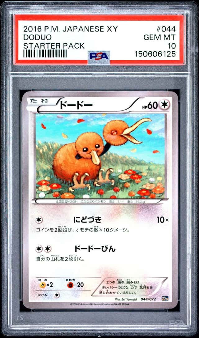 Doduo