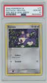Rattata