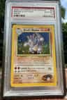 Brock'S Rhydon