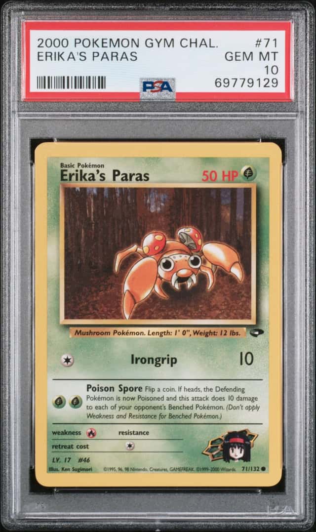 Erika's Paras