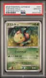 Turtwig