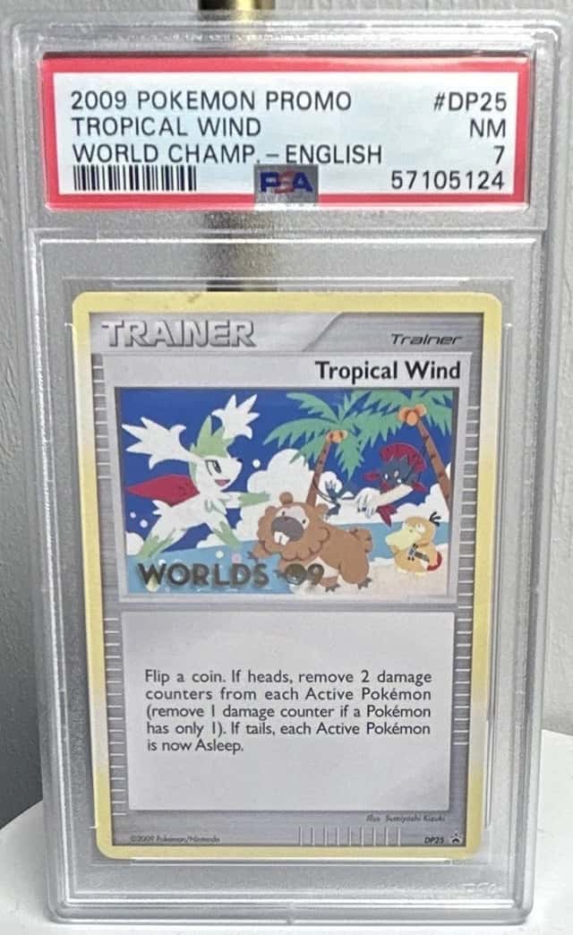 Tropical Wind