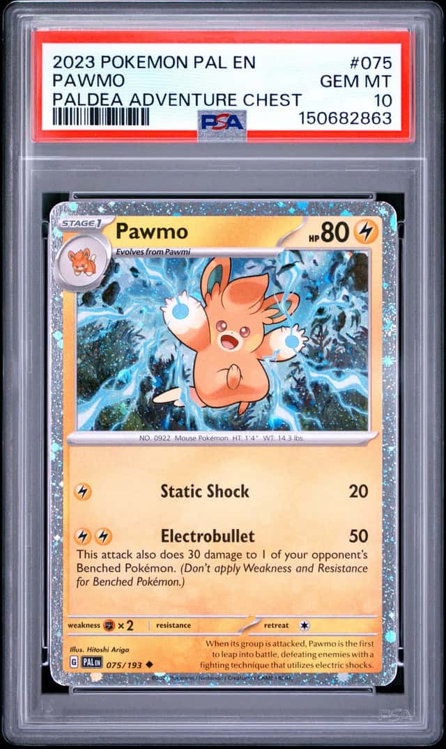 Pawmo