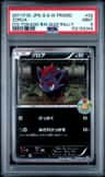 Zorua