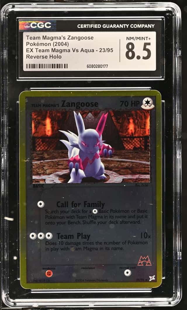 Magma's Zangoose