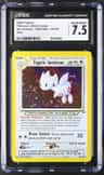 Light Togetic