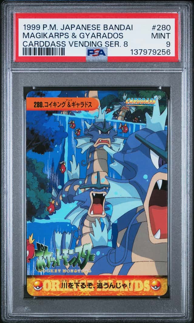 Magikarps & Gyarados