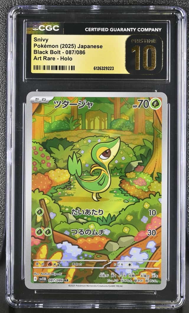 Snivy