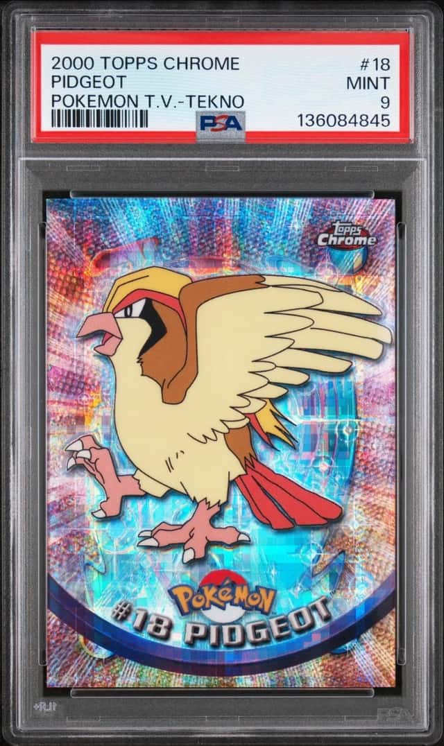 Pidgeot
