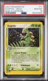 Sceptile