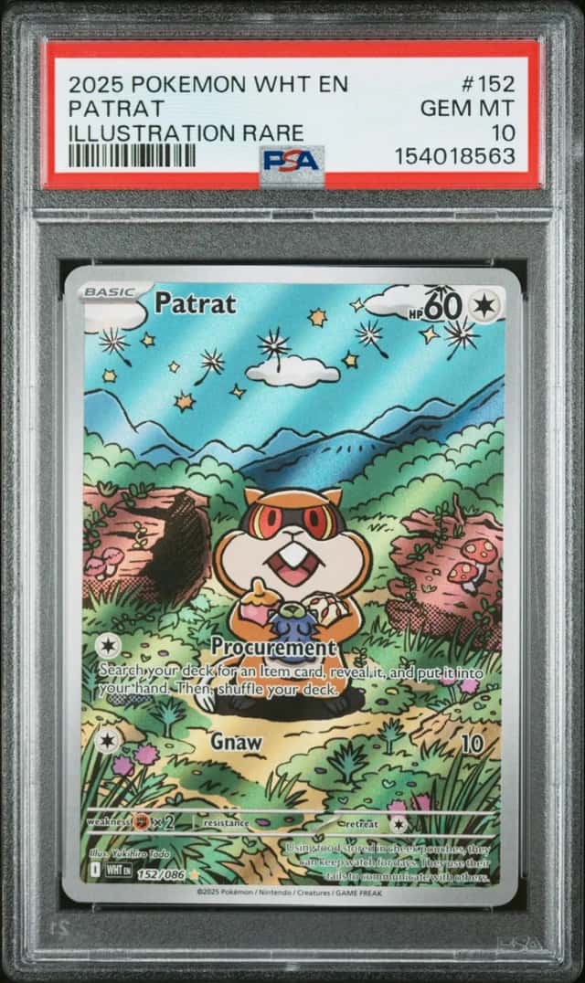 Patrat