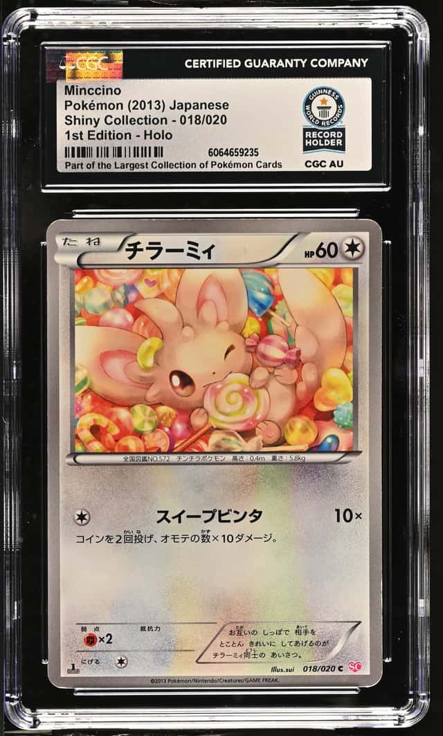 Minccino