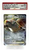 Pidgeot Ex