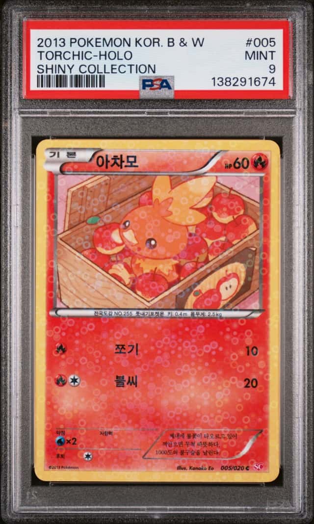 Torchic