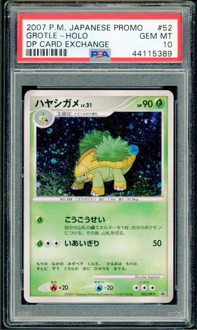 Grotle