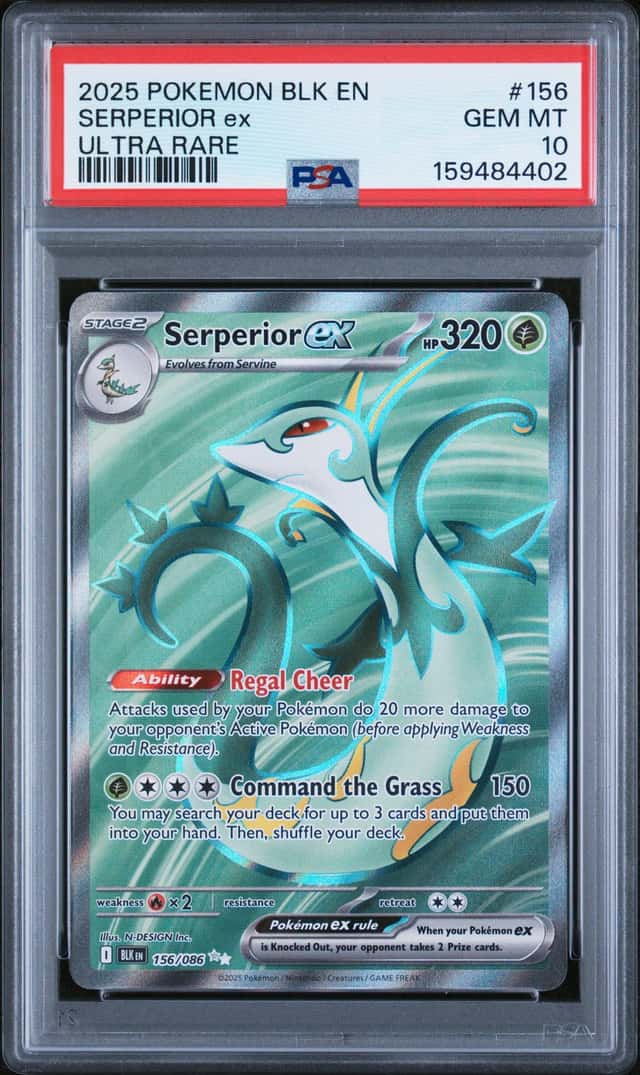 SERPERIOR ex