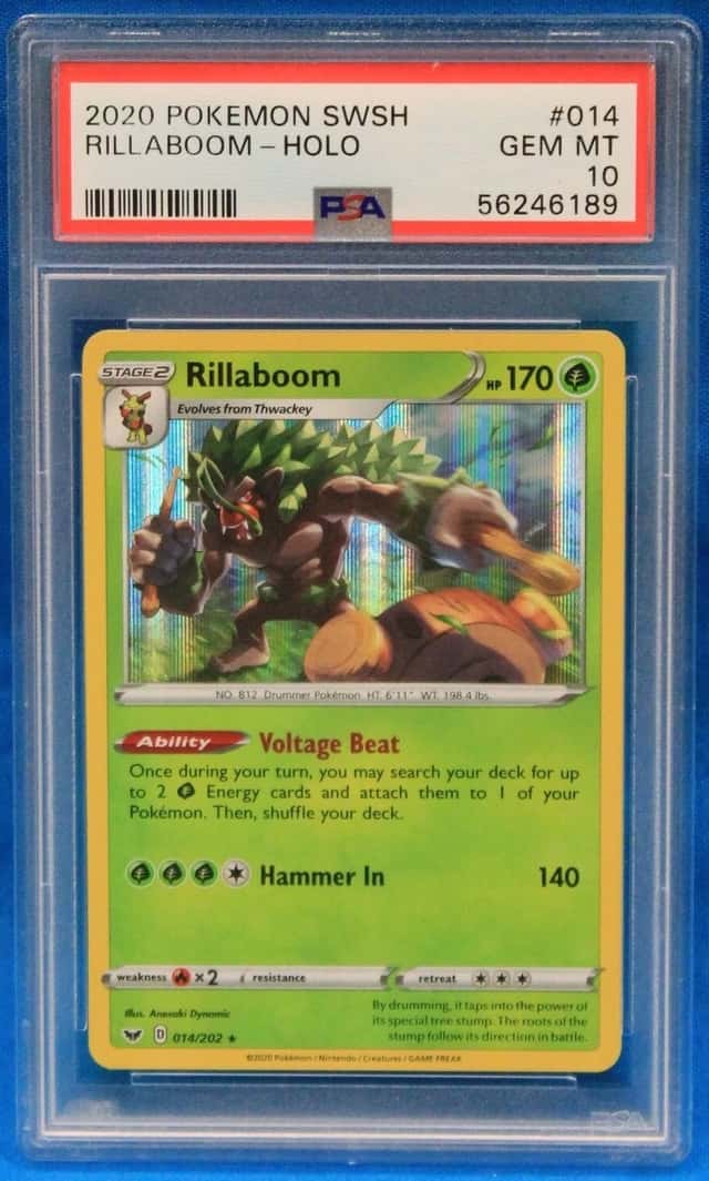 Rillaboom