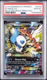 M Absol Ex