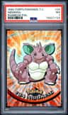 Nidoking