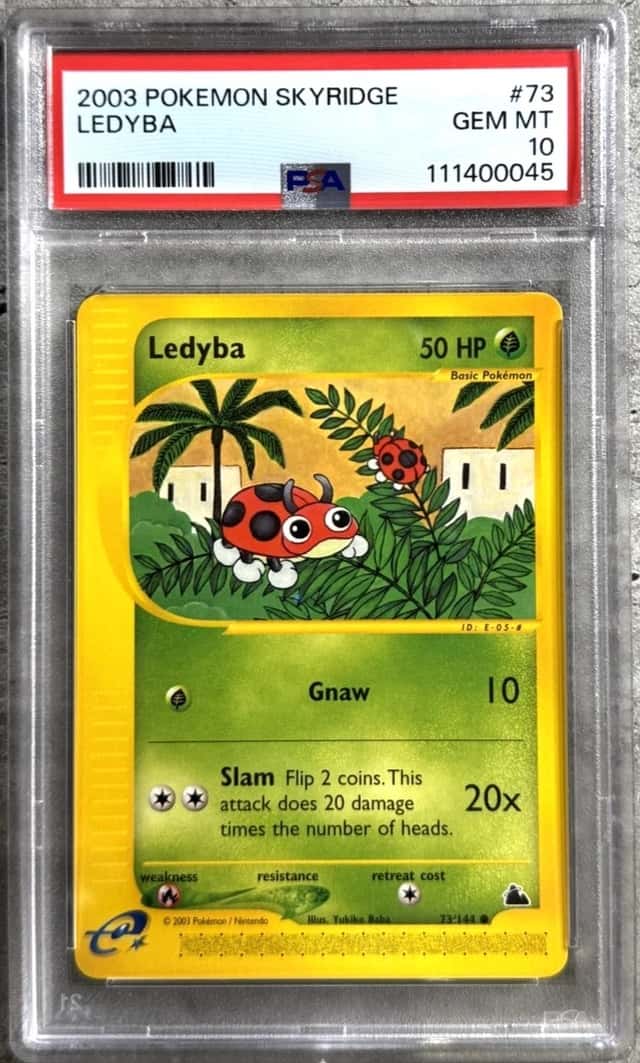 Ledyba