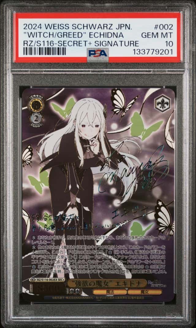 "Witch/Greed" Echidna