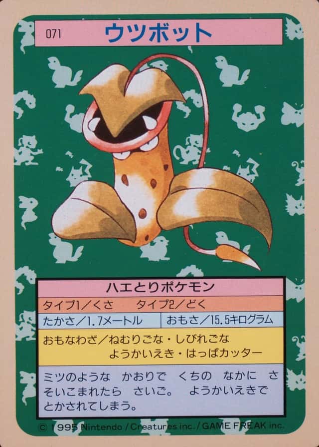 Green Back