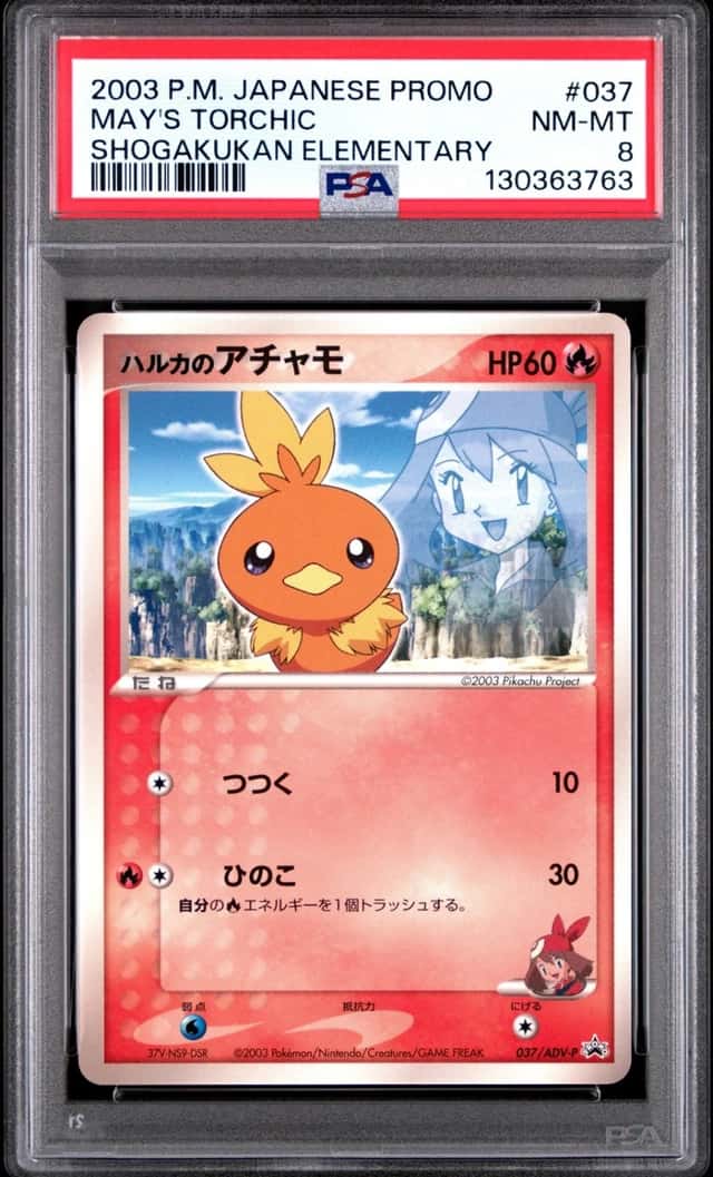 May's Torchic