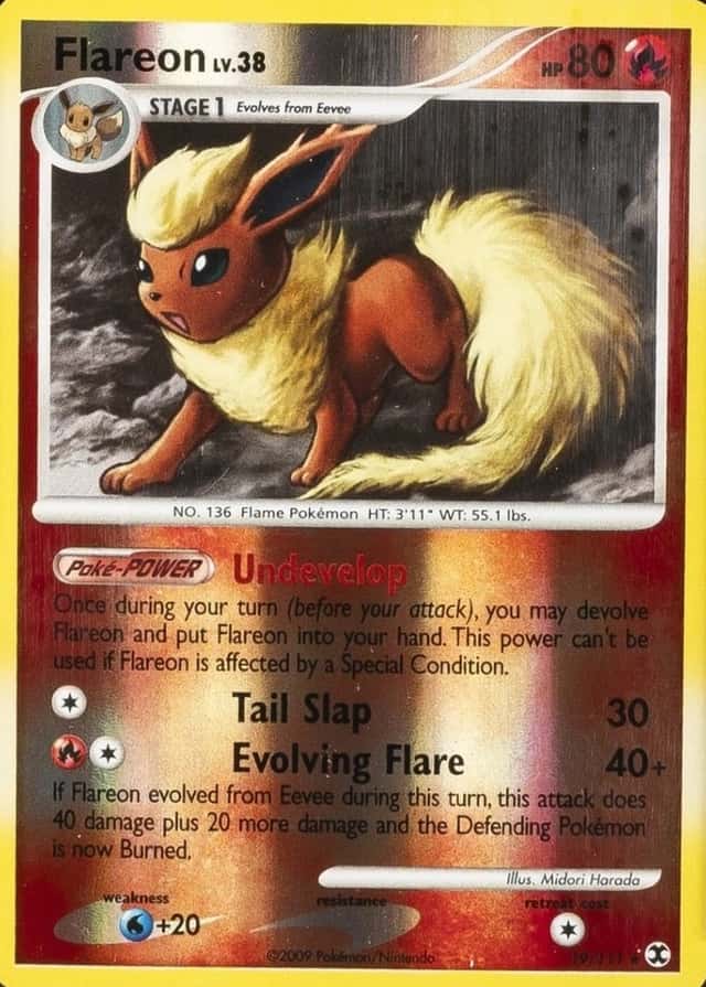 Reverse Holo