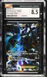 Zekrom Ex