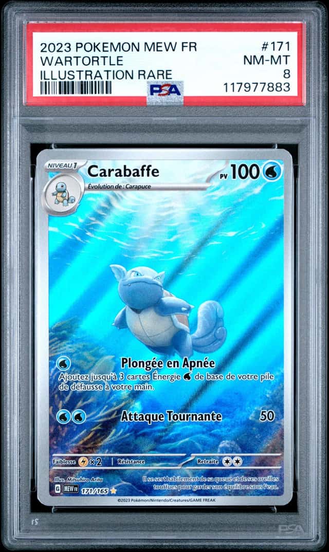 Wartortle