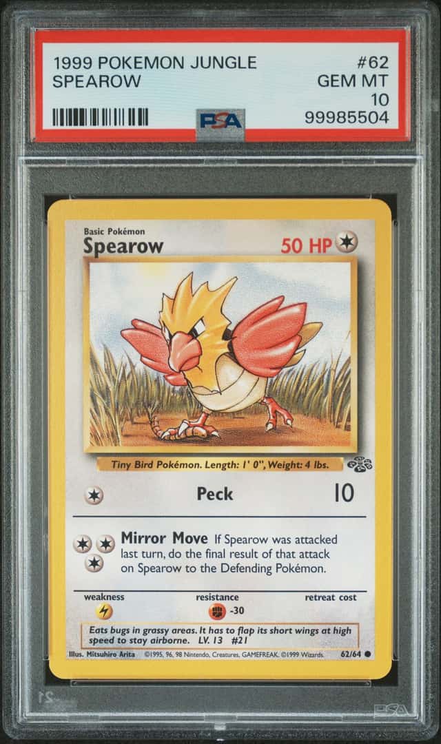 Spearow