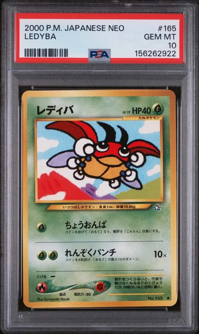 Ledyba