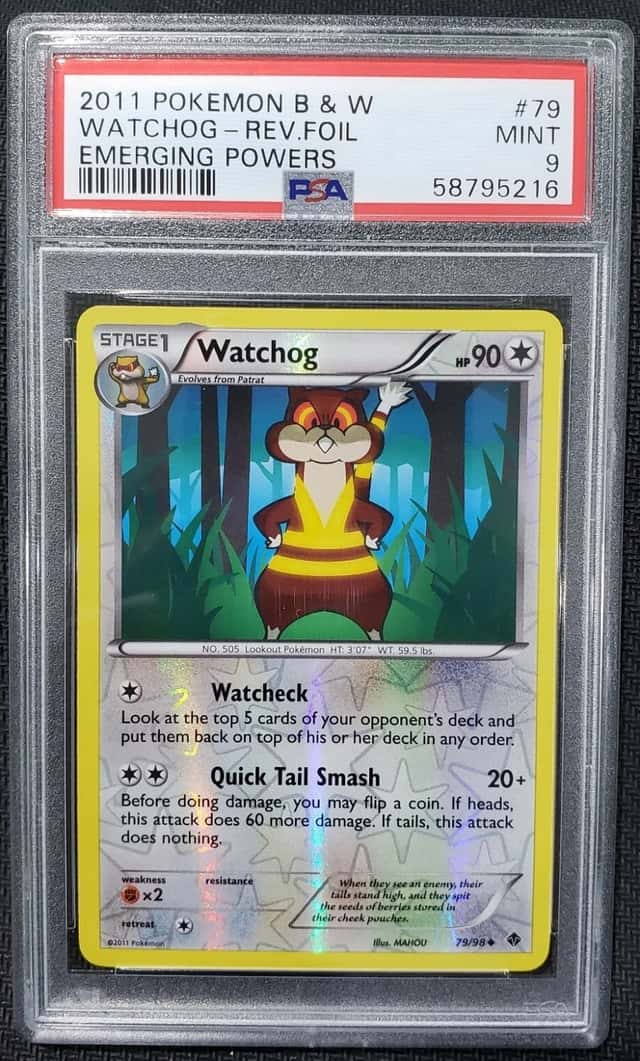 WATCHOG