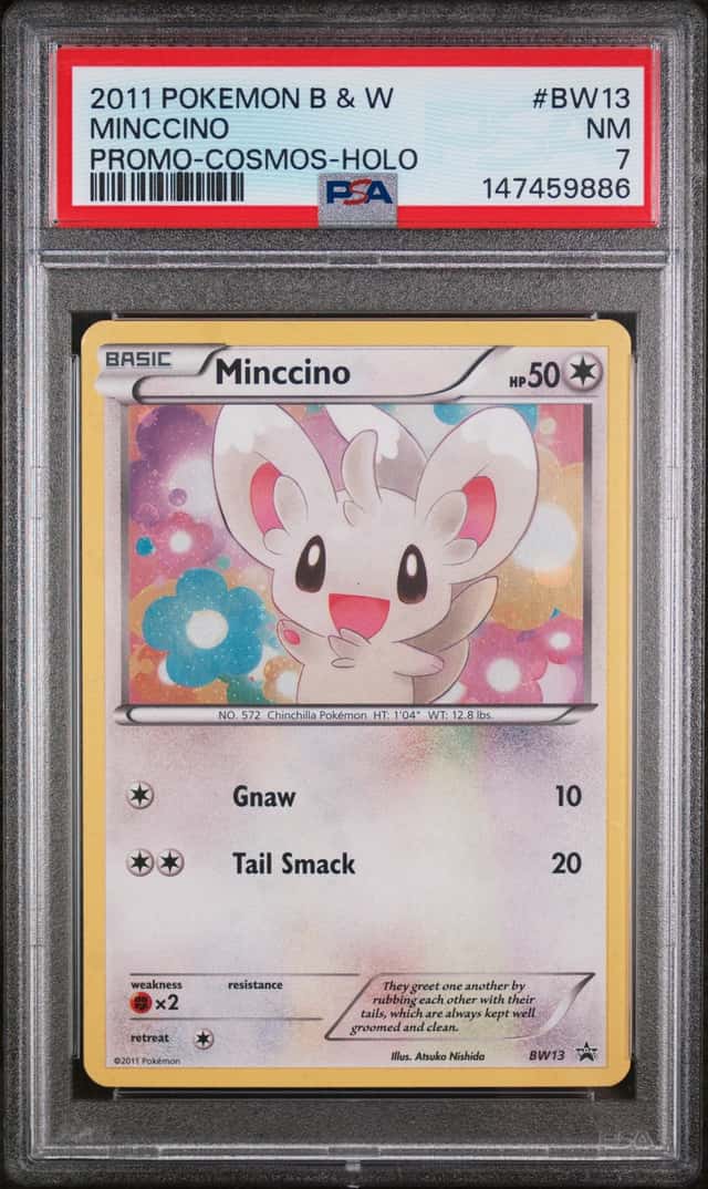 Minccino