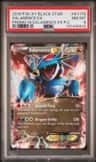 Salamence Ex