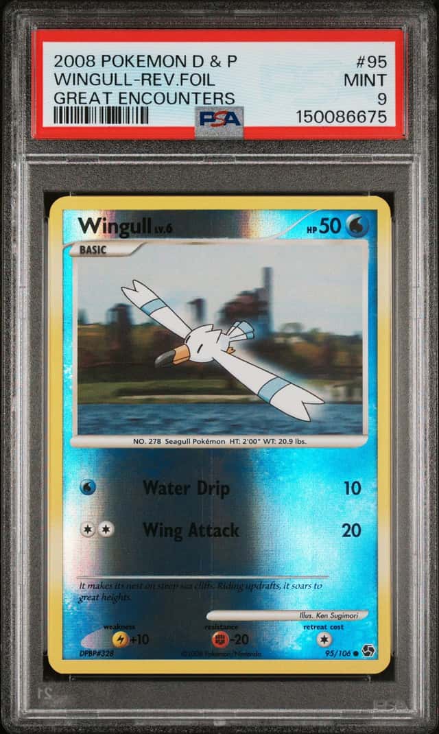 WINGULL-REV.FOIL