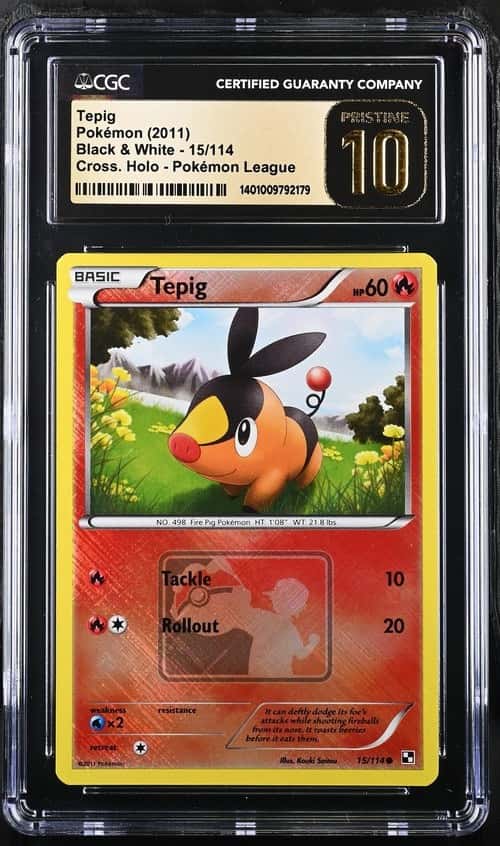 Tepig