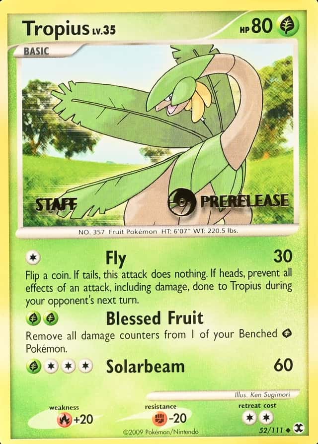 Prerelease · Staff