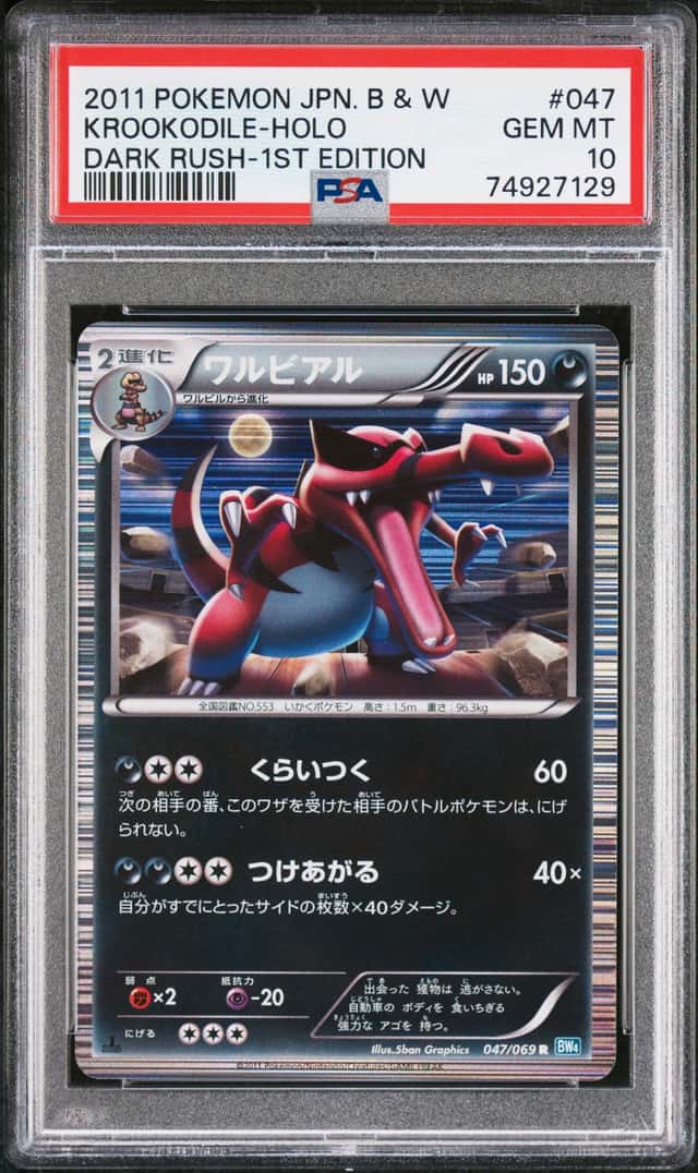 Krookodile