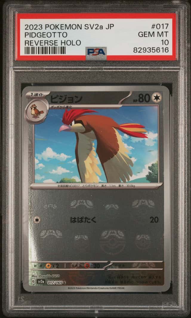 Pidgeotto