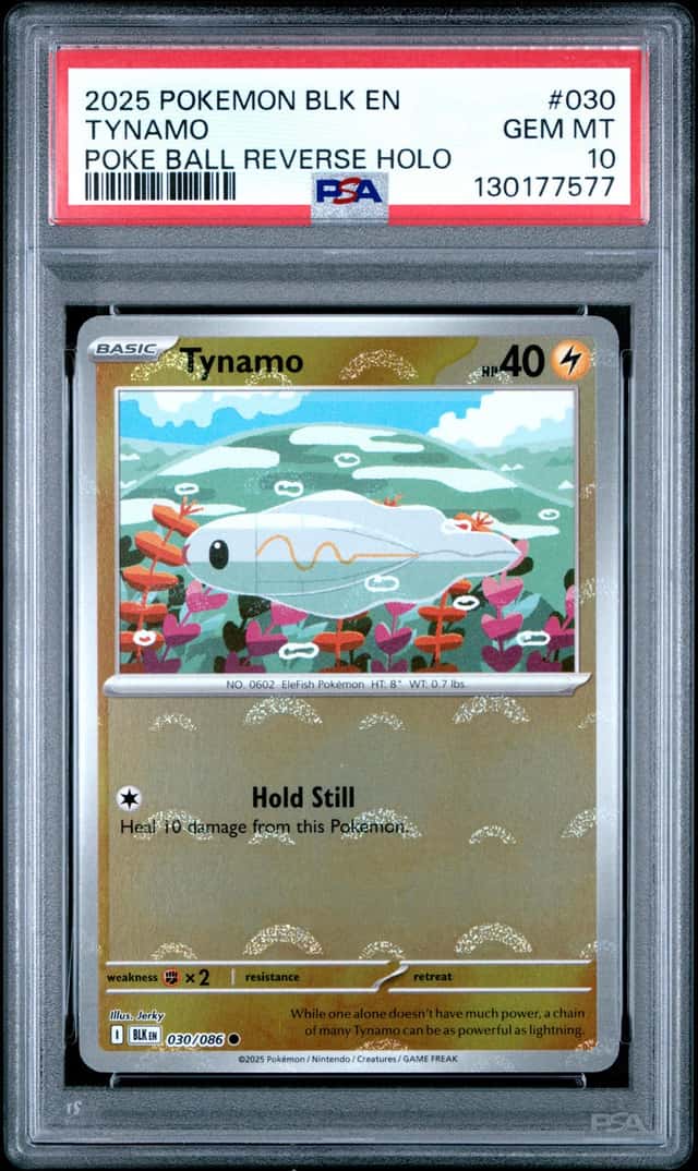 Tynamo