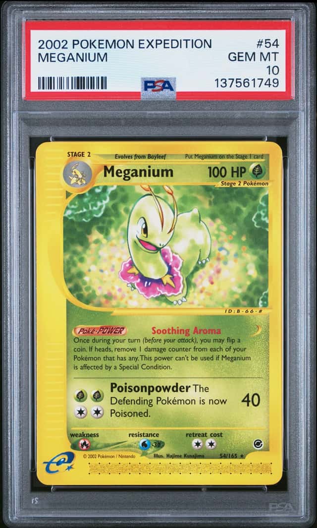 Meganium