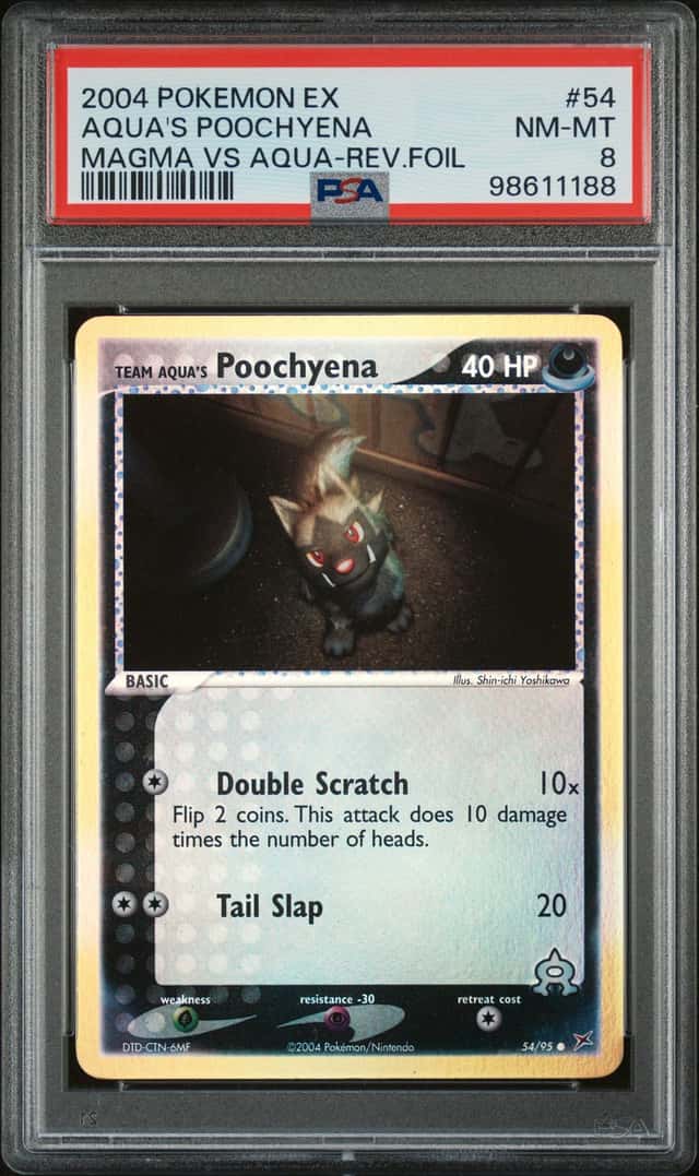 Aqua's Poochyena