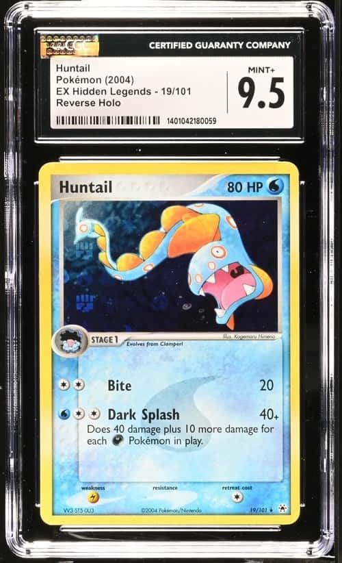 Huntail