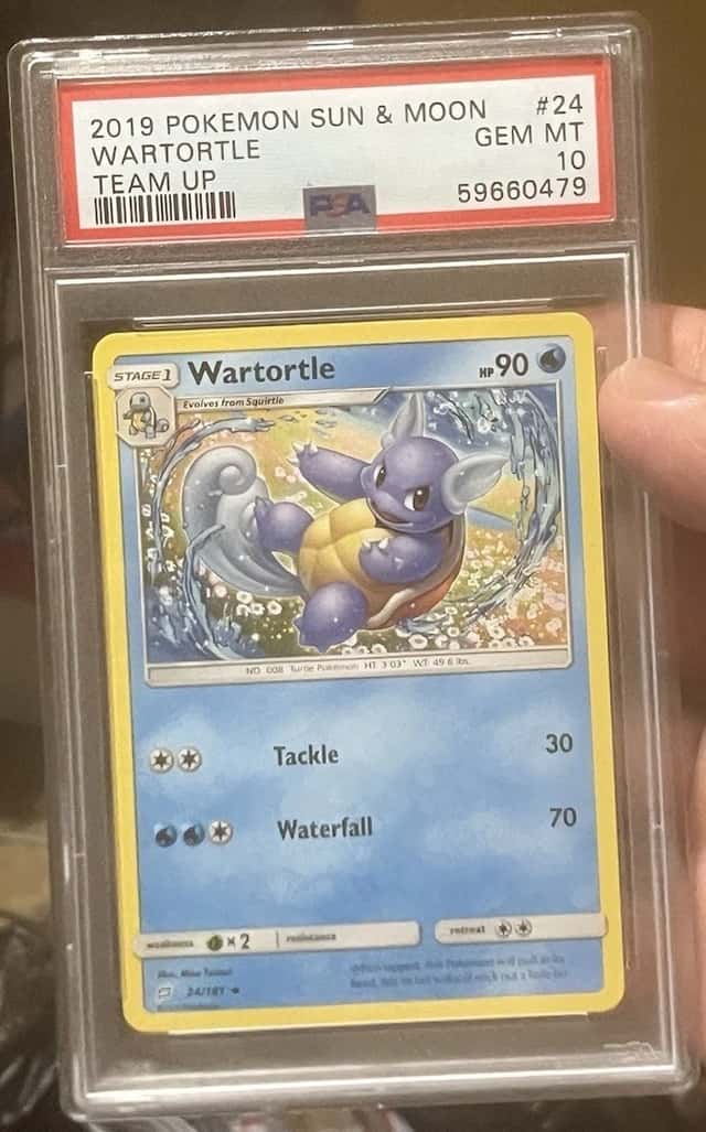 Wartortle