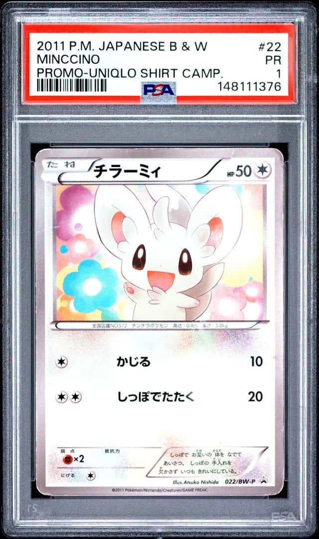 Minccino