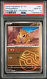 Sandshrew