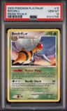 Beedrill