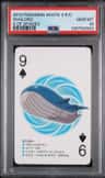 Wailord